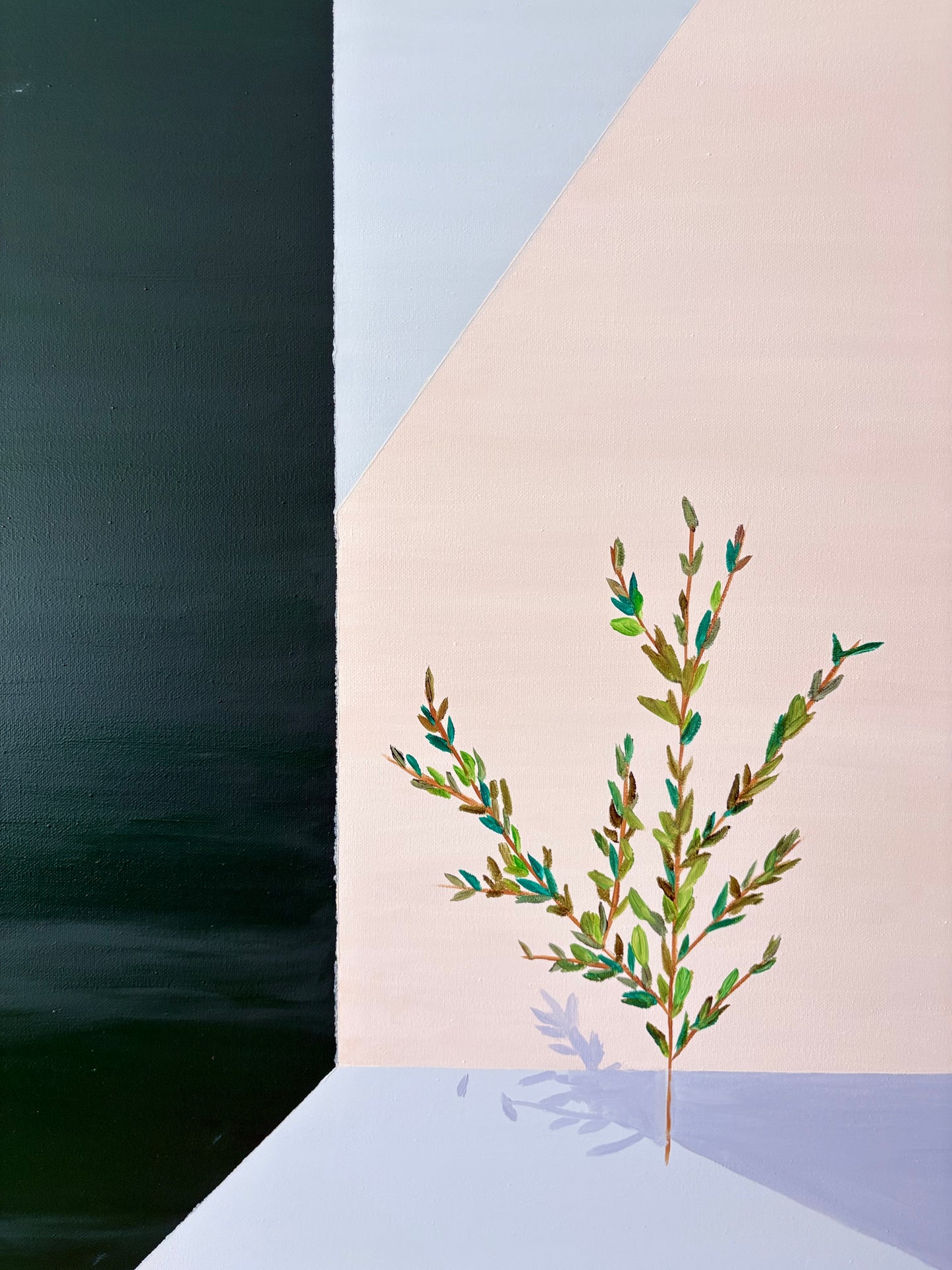 The Shape of Stillness XIII Verdant Silence