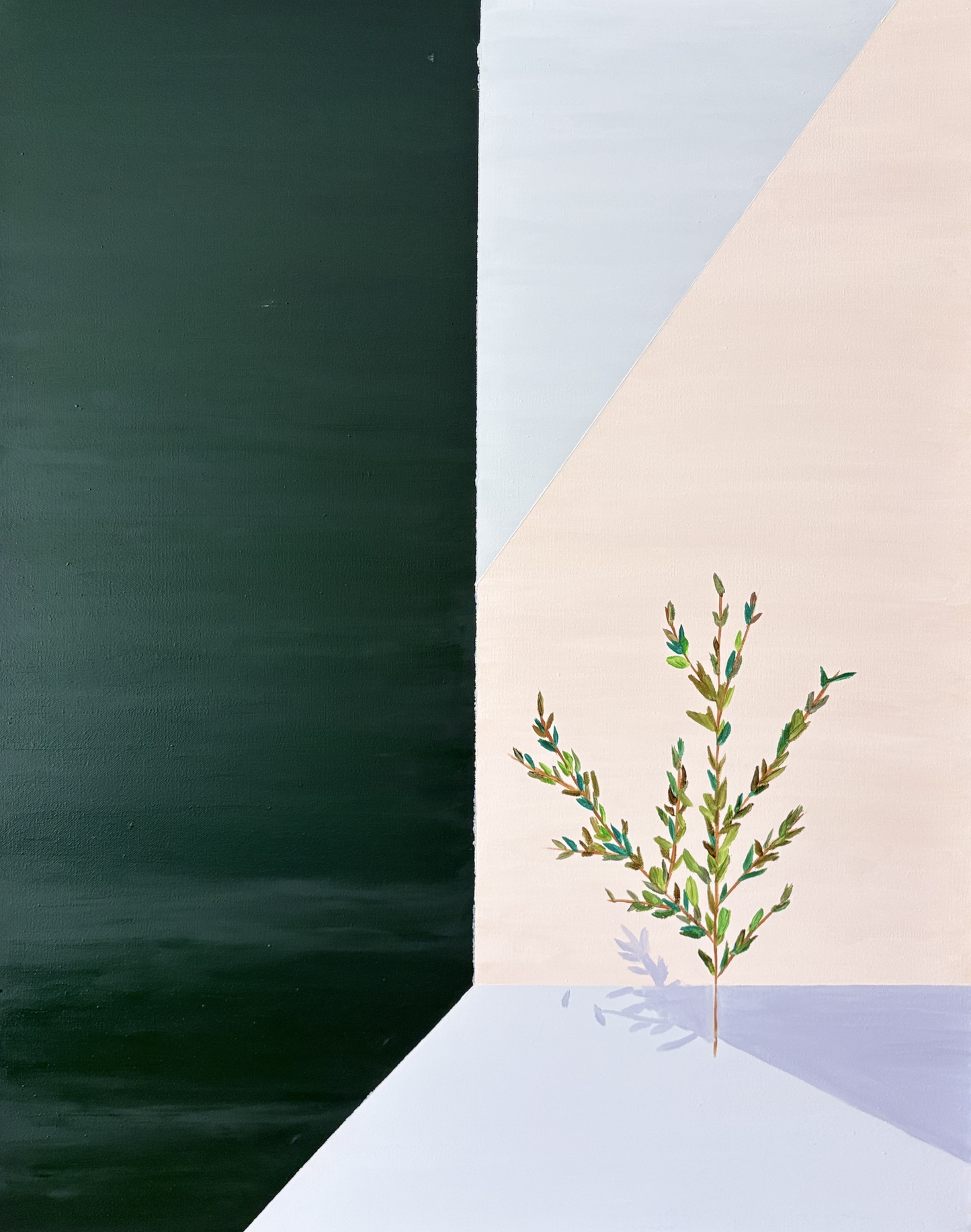 The Shape of Stillness XIII Verdant Silence